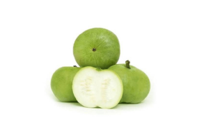 Round Guard - गोल लौकी - ગોળ દૂધી - Tensa